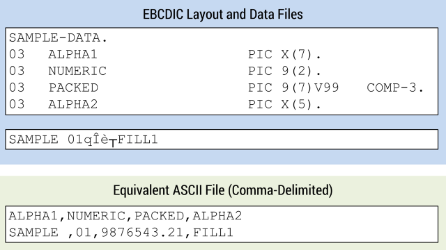 EBCDIC to ASCII Layout File Fields